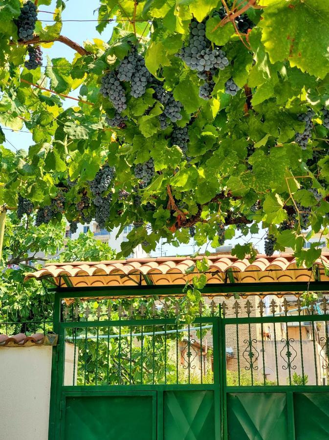Unique Traditional House, Hosted By J&G Tirana Exteriör bild